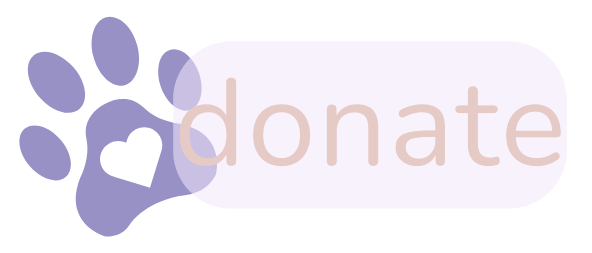 Donate to help our cats